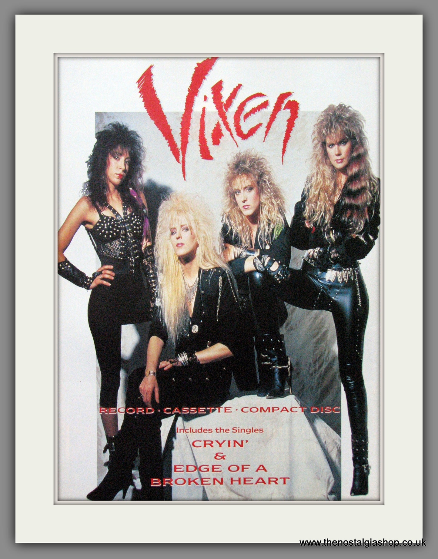 Vixen. Debut Album. 1988 Original Advert (ref AD53278)