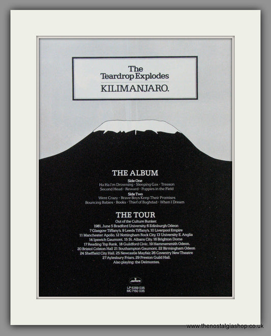 Teardrop Explodes (The). Kilimanjaro. Original Advert 1980 (Ref AD52561)
