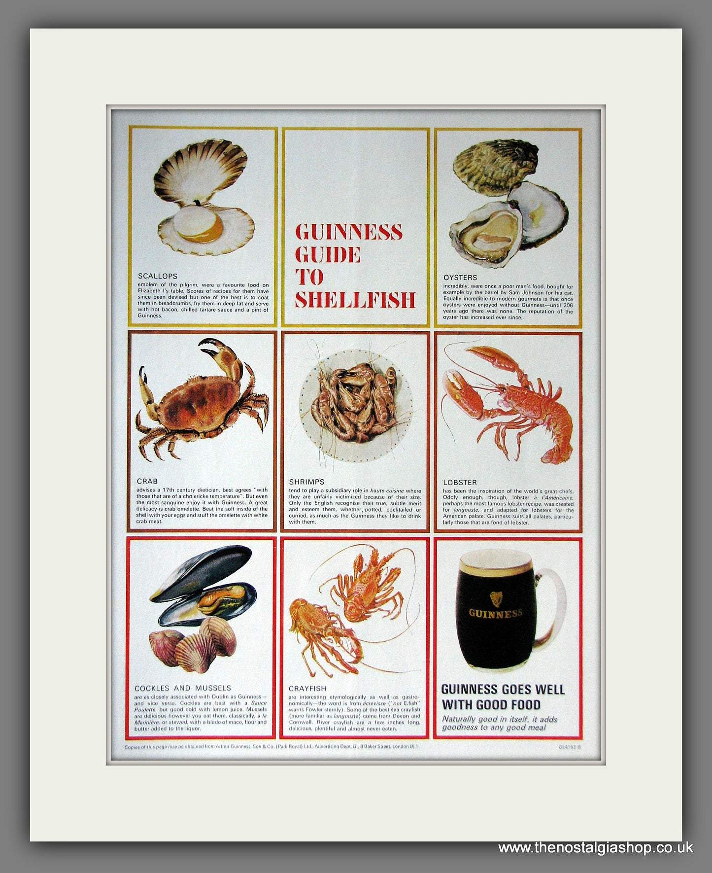 Guinness Guide To Shellfish. 1966 Original Advert (ref AD56330)