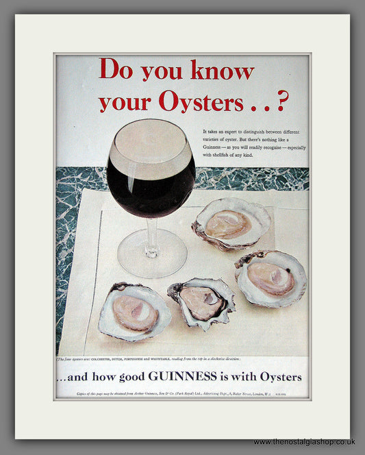 Guinness with Oysters. 1959 Original Advert  (ref AD56338)