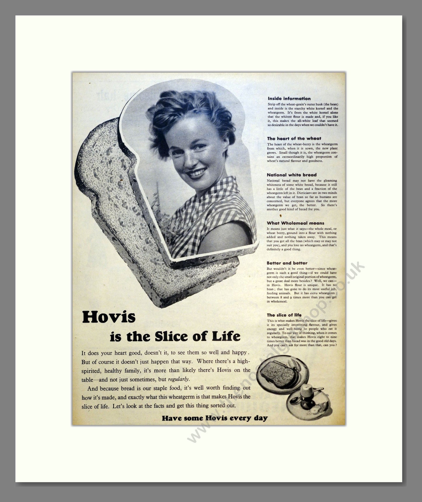 Hovis Bread. Vintage Advert 1955 (ref AD301440)