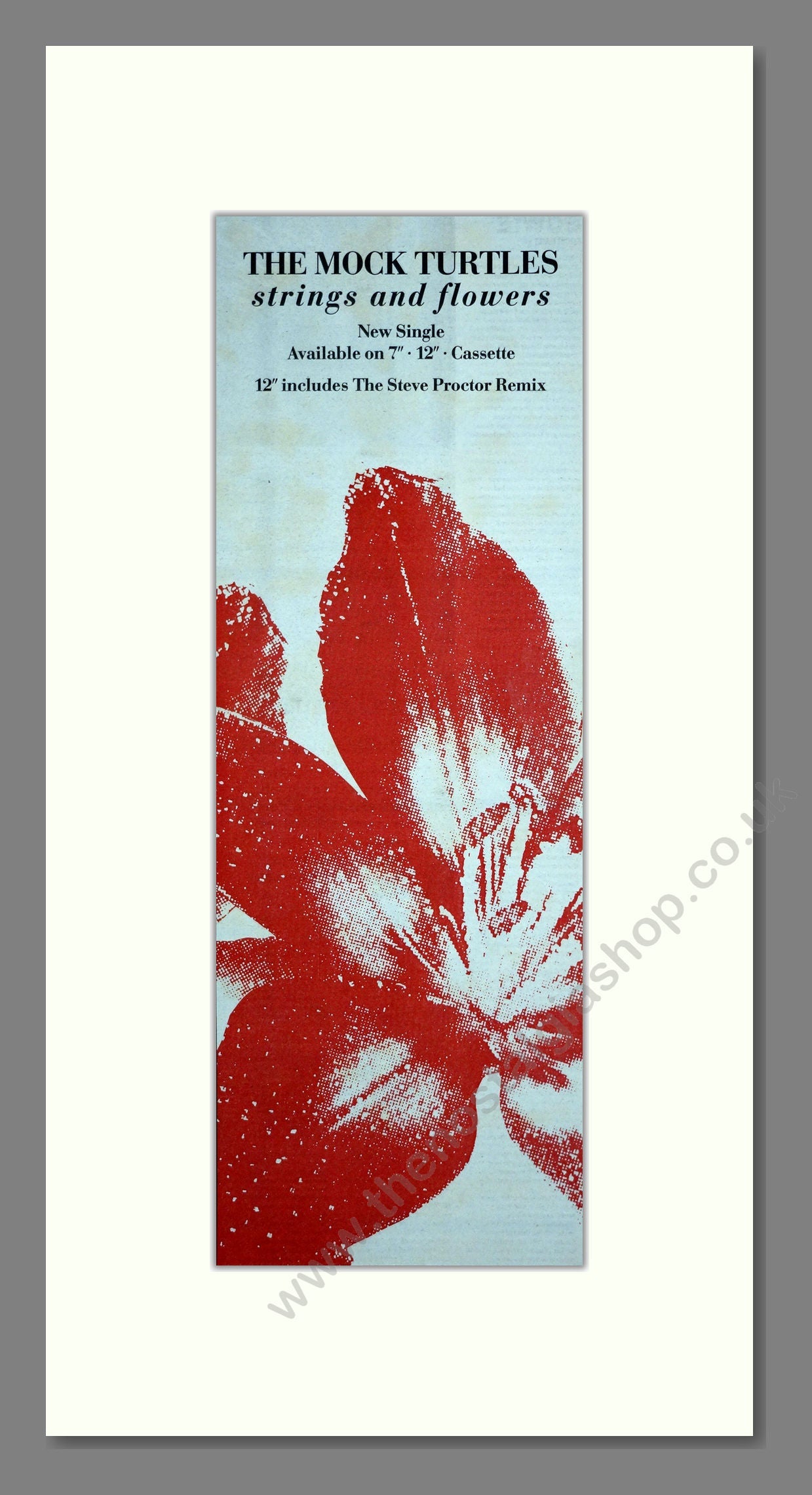 Mock Turtles (The) - Strings And Flowers. Vintage Advert 1991 (ref AD201329)