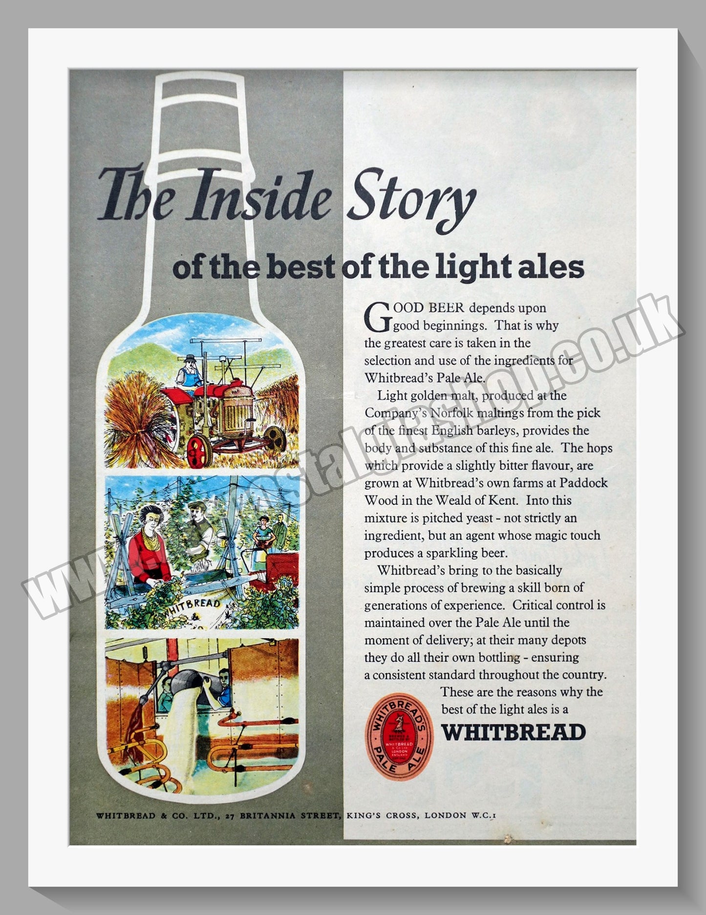Whitbread Pale Ale. Original Advert 1953 (ref AD300175)