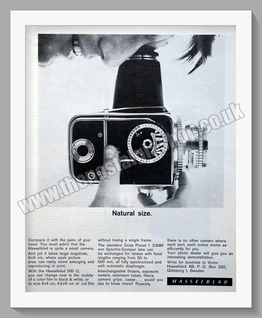 Hasselblad 500 C Camera. Original Advert 1966 (ref AD300318)