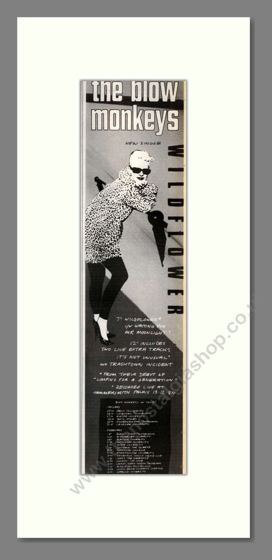 Blow Monkeys (The) - Wildflower. Vintage Advert 1985 (ref AD201899)