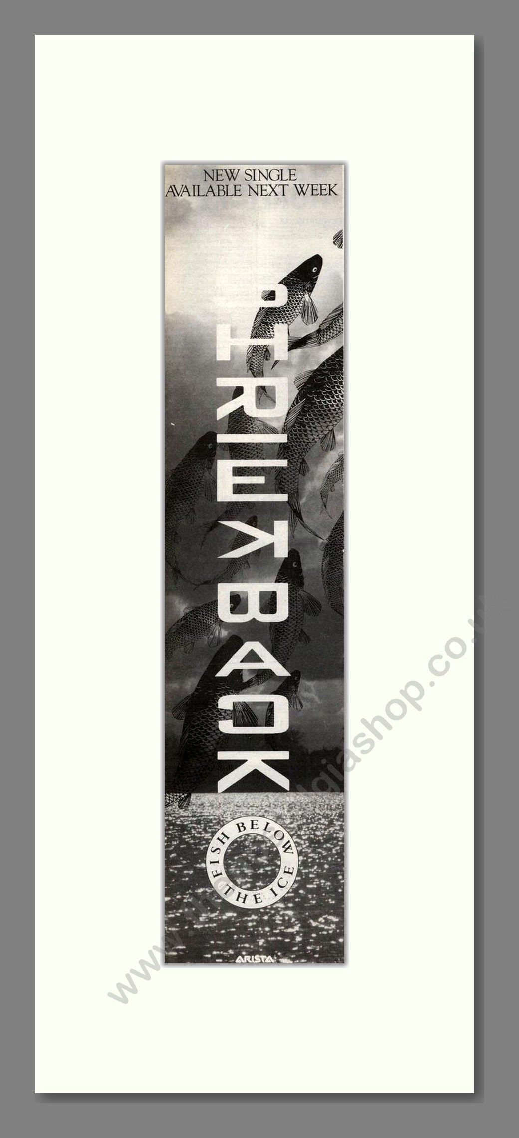 Shriekback - Fish Below The Ice. Vintage Advert 1985 (ref AD201911)