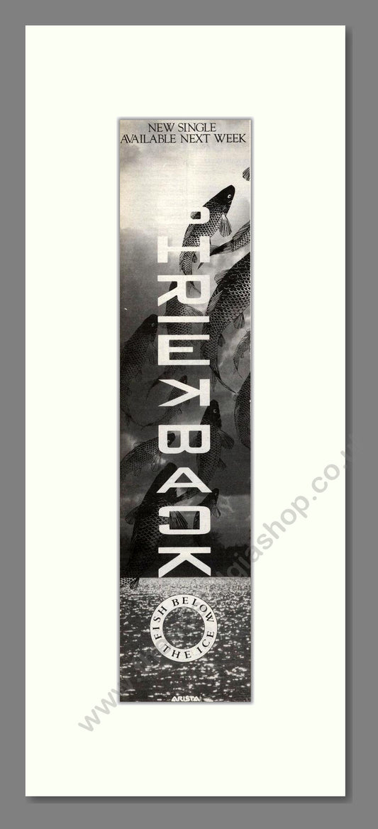 Shriekback - Fish Below The Ice. Vintage Advert 1985 (ref AD201911)