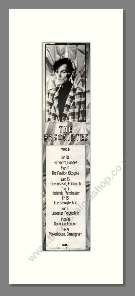 Associates (The) - UK Tour. Vintage Advert 1985 (ref AD201934)