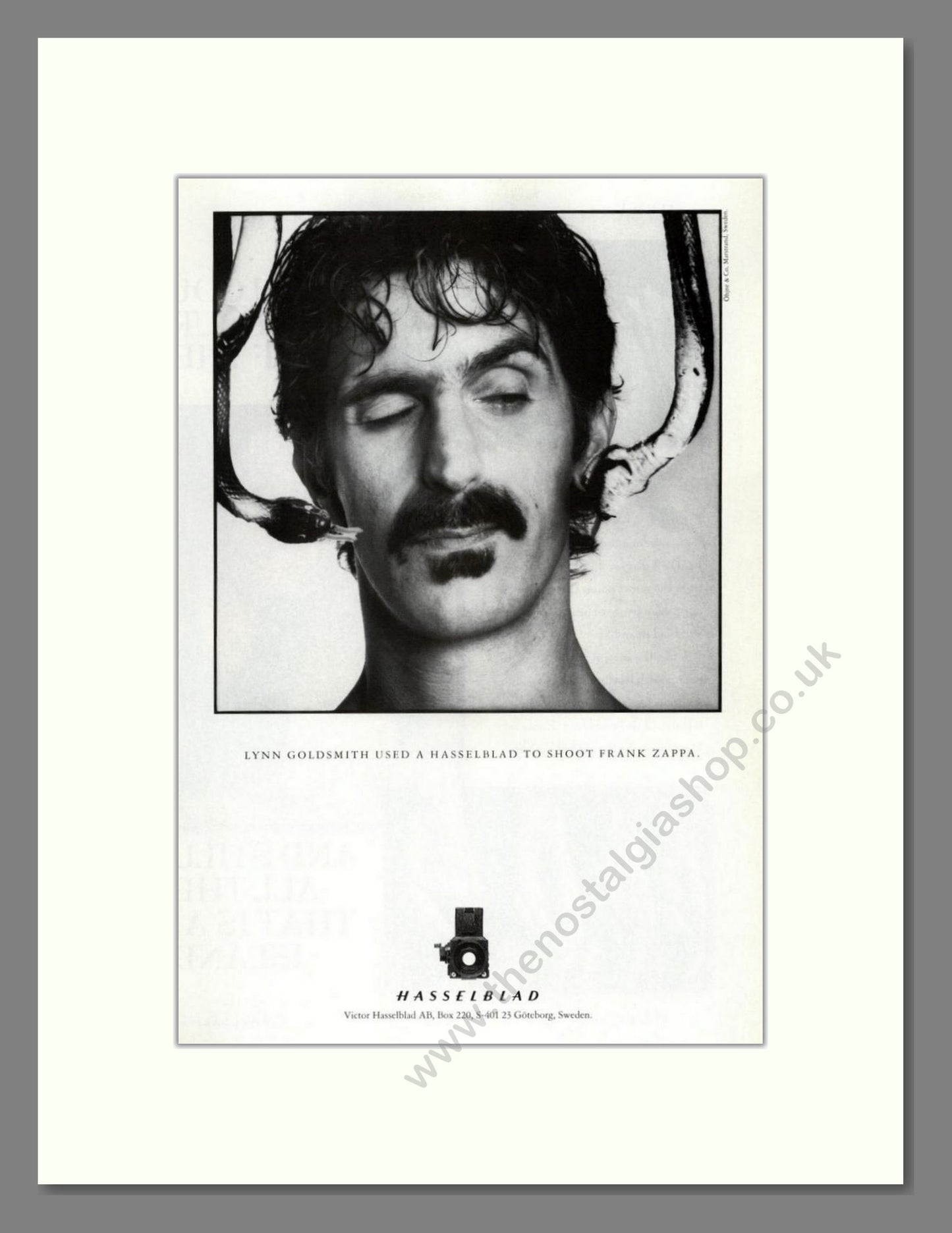 Hasselblad - Lynn Goldsmith. Vintage Advert 1988 (ref AD68222)