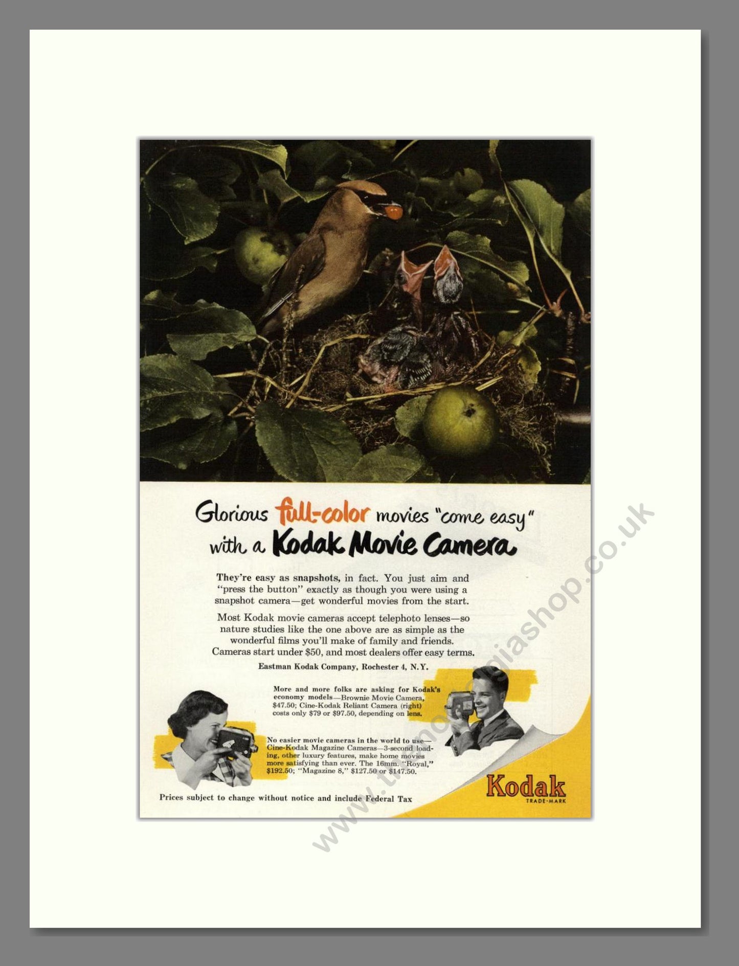 Kodak - Movie Cameras. Vintage Advert 1951 (ref AD68379)