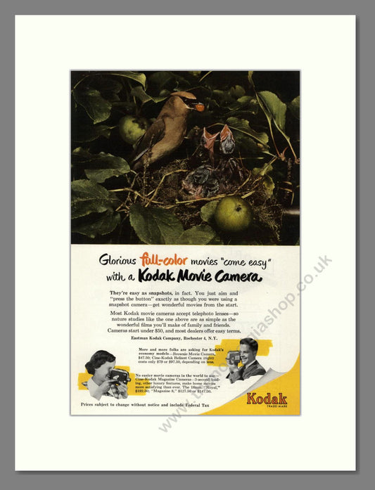 Kodak - Movie Cameras. Vintage Advert 1951 (ref AD68379)
