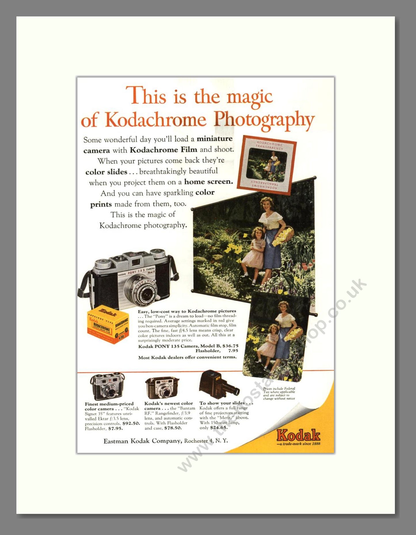 Kodak - Kodachrome Film. Vintage Advert 1954 (ref AD68404)