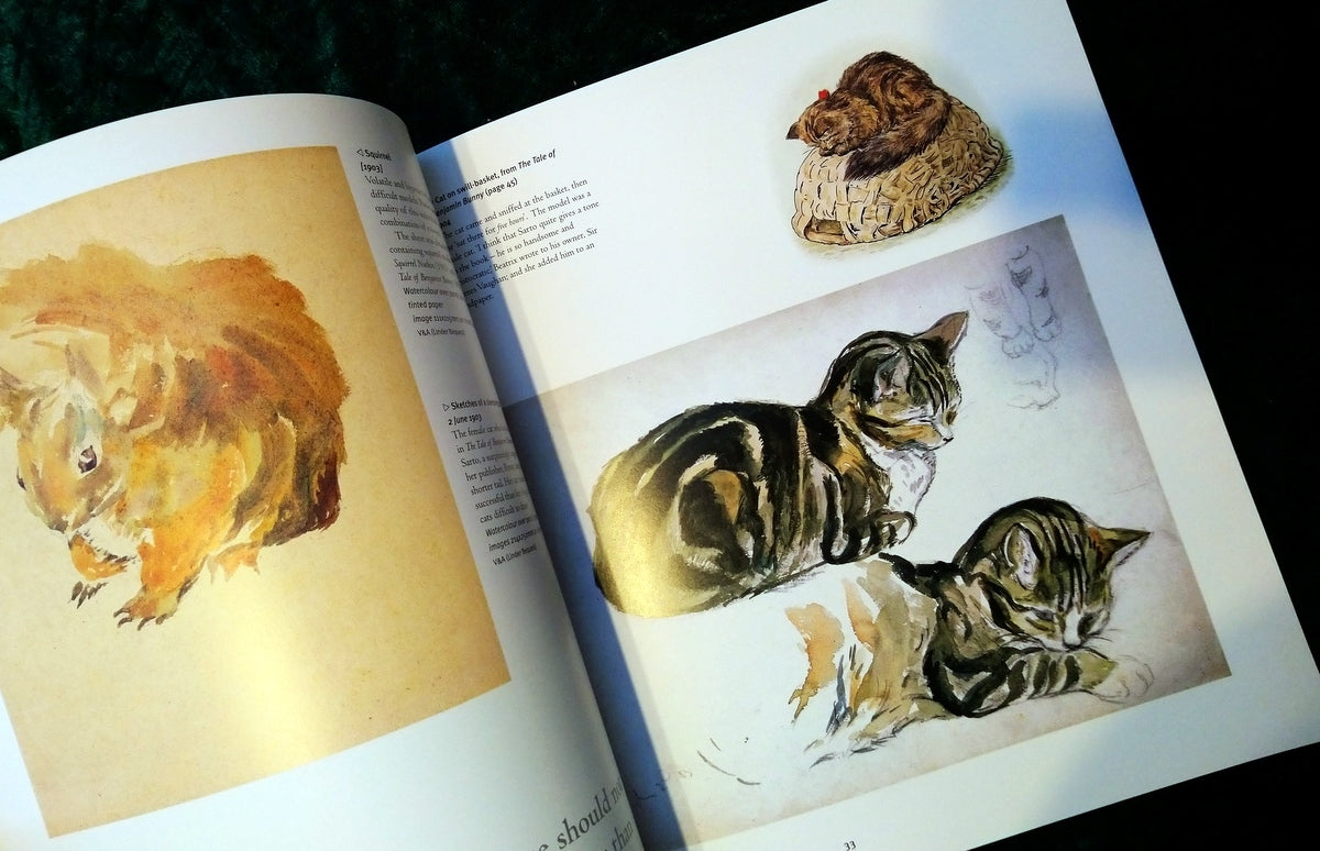 Beatrix Potter Artist and Illustrator. (ref b249)
