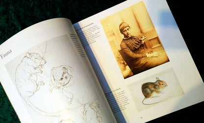 Beatrix Potter Artist and Illustrator. (ref b249)