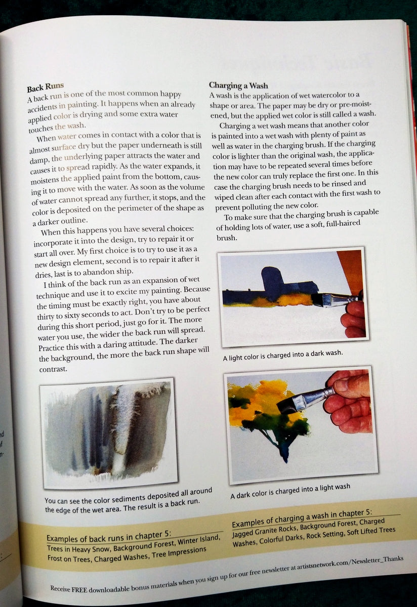 Watercolour Tips and Tricks by Zoltan Szabo. (ref b272)