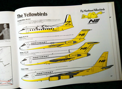 Delta, History of the U.S. Airline. (ref b336)