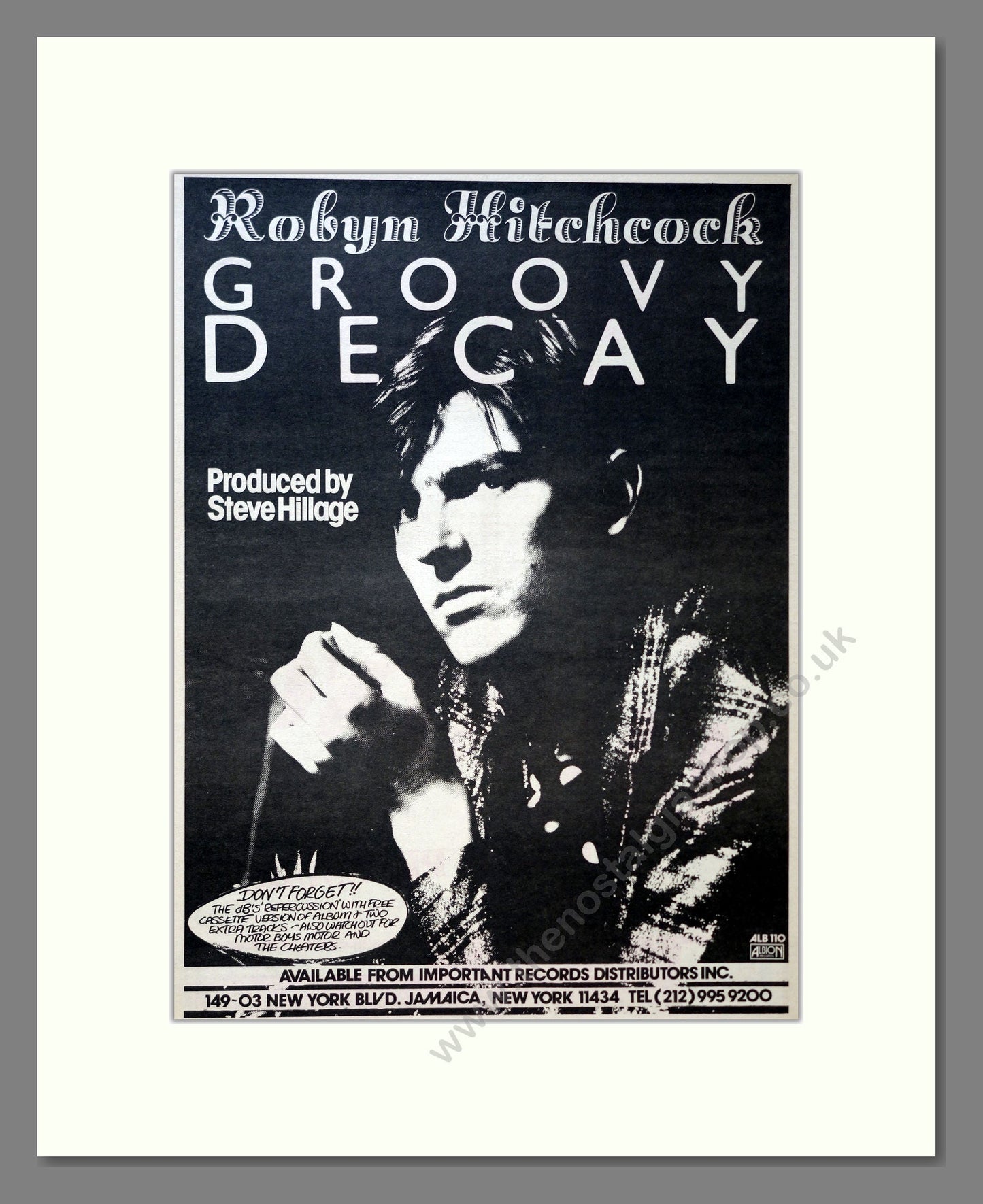 Robyn Hitchcock - Groovy Decay. Vintage Advert 1982 (ref AD18160)