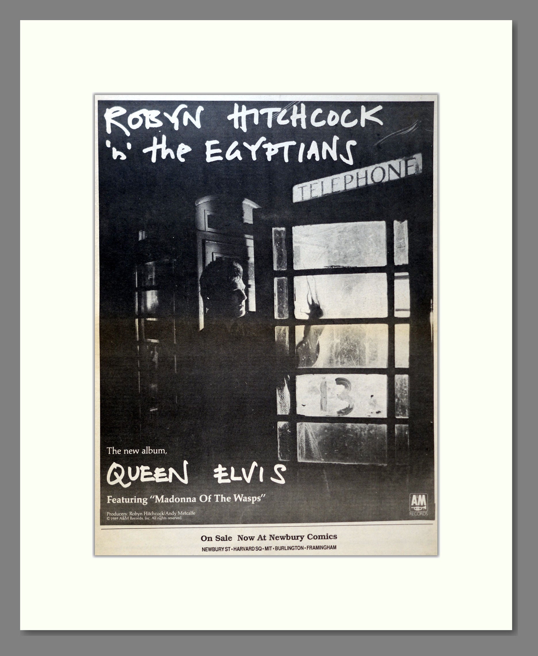 Robyn Hitchcock - Queen Elvis. Vintage Advert 1989 (ref AD18164)