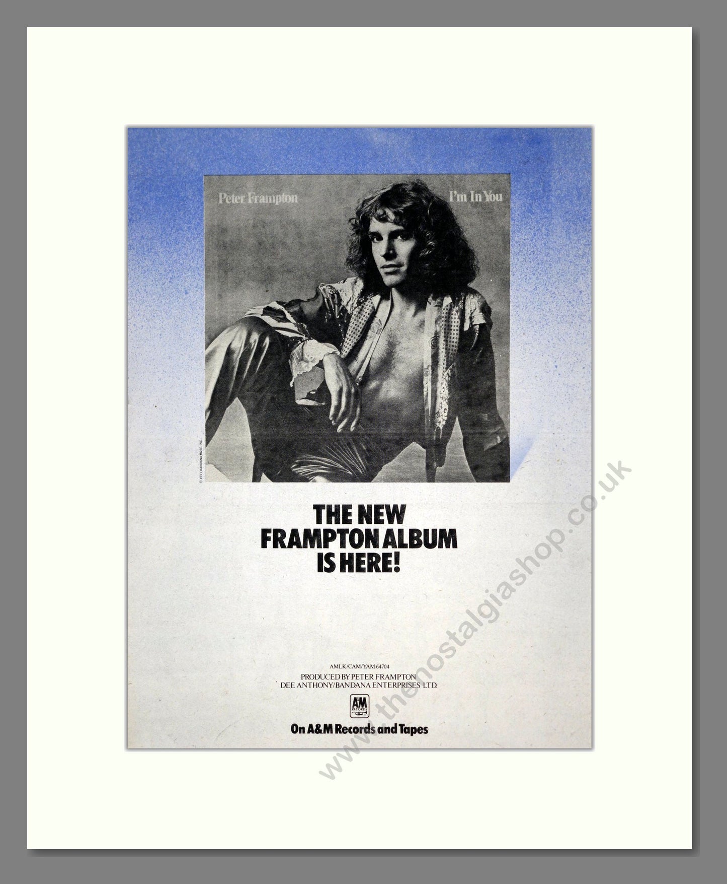 Peter Frampton - I'm In You. Vintage Advert 1977 (ref AD19070)