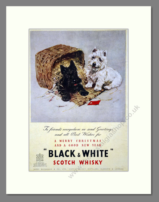 Black & White Scotch Whisky. Original Advert 1947 (ref AD302292)