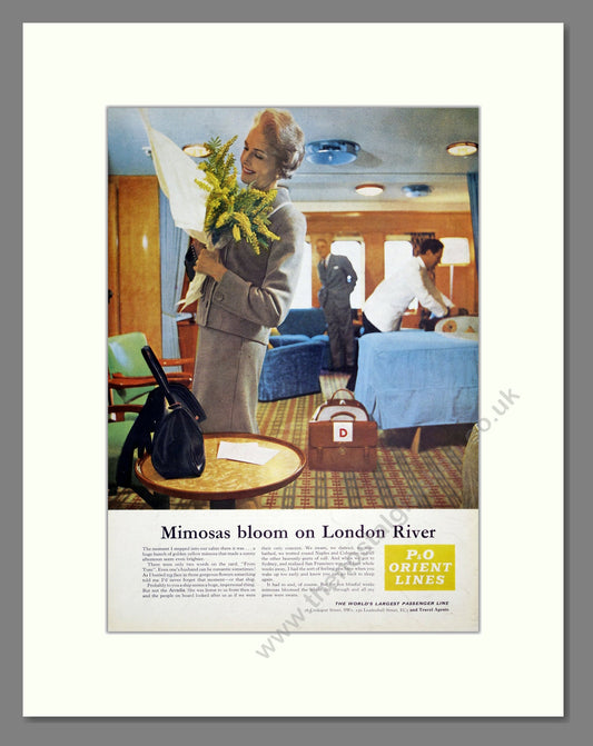 P and O - Orient Lines. Vintage Advert 1961 (ref AD302993)