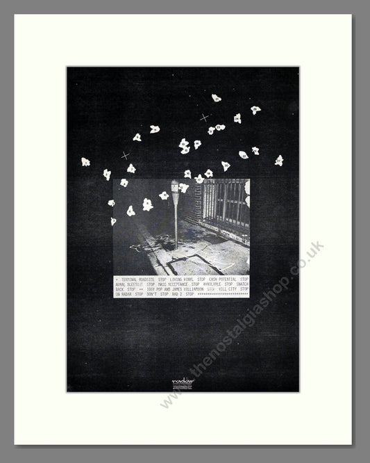 Iggy Pop / James Williamson - Kill City. Vintage Advert 1978 (ref AD19697)