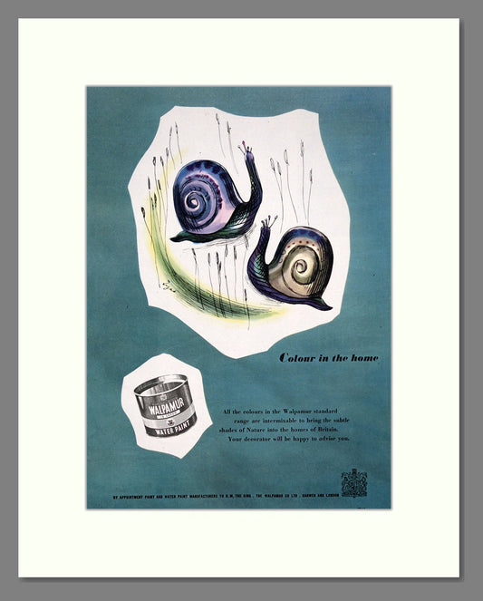 Walpamur - Water Paint. Vintage Advert 1950 (ref AD303412)
