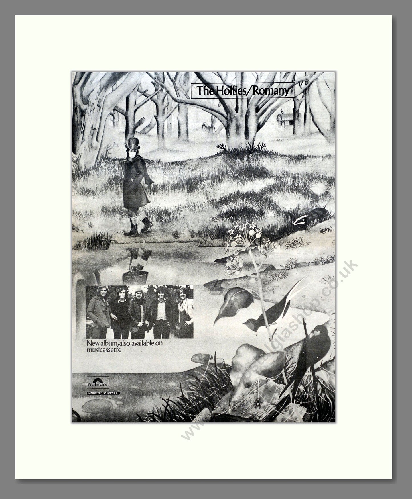 Hollies (The) - Romany. Vintage Advert 1972 (ref AD20643)