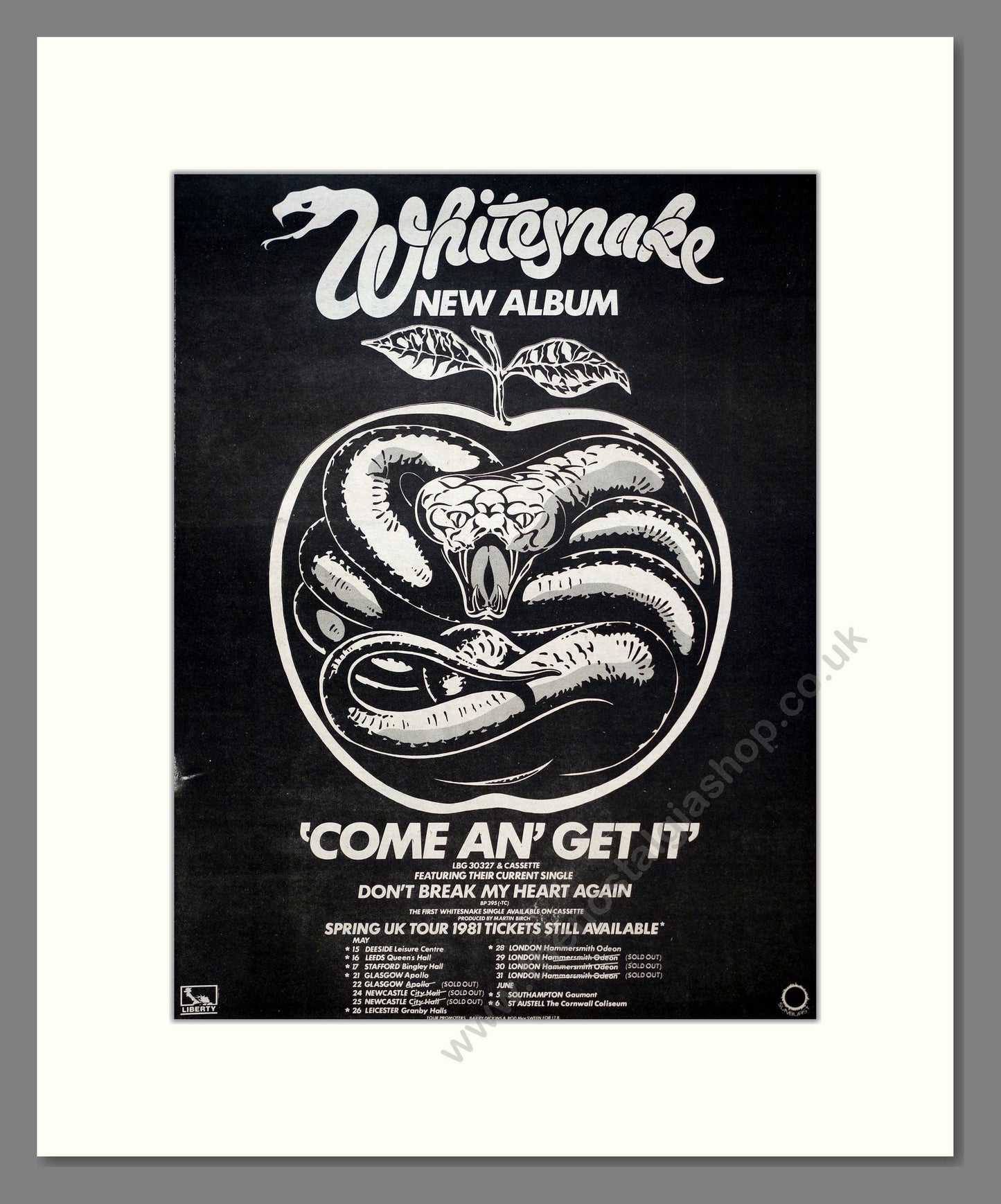 Whitesnake - Come An' Get It. Vintage Advert 1981 (ref AD20707)