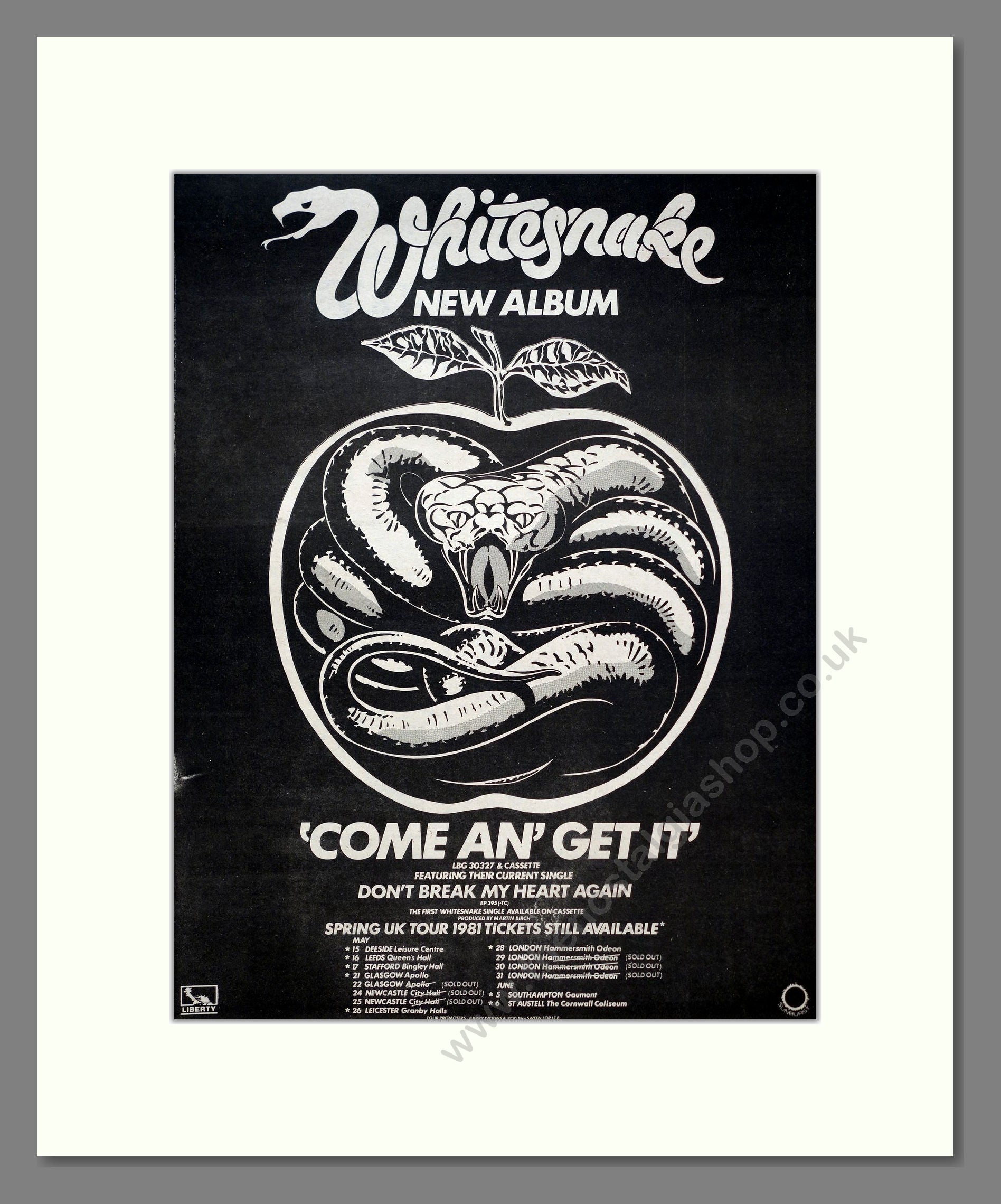 Whitesnake - Come An' Get It. Vintage Advert 1981 (ref AD20707)