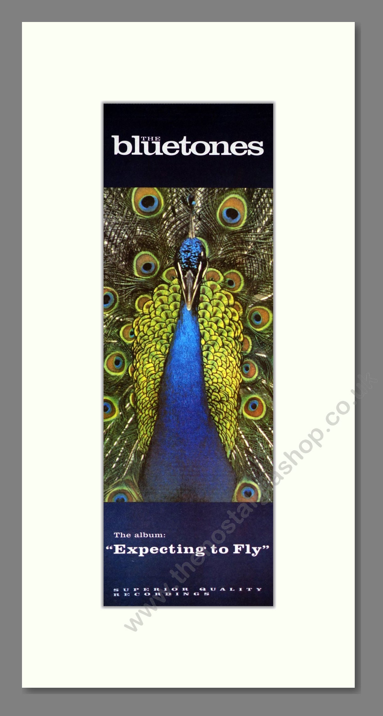 Bluetones (The) - Expecting To Fly. Vintage Advert 1996 (ref AD201417)