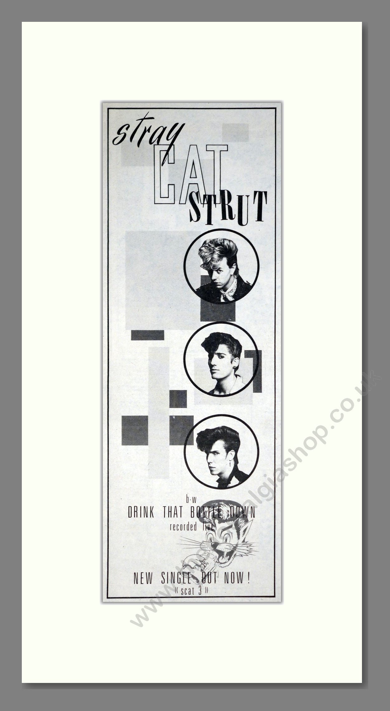 Stray Cat Strut - Drink That Bottle Down. Vintage Advert 1981 (ref AD201538)