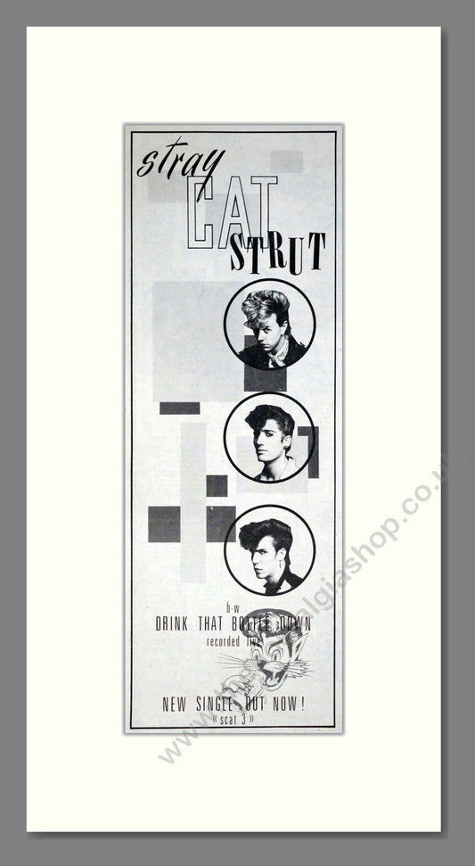 Stray Cat Strut - Drink That Bottle Down. Vintage Advert 1981 (ref AD201538)
