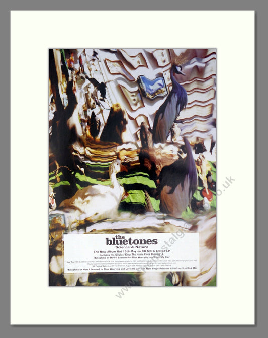 Bluetones (The) - Science And Nature. Vintage Advert 2000 (ref AD63698)