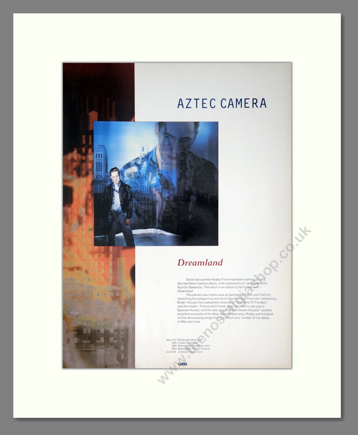 Aztec Camera - Dreamland. Vintage Advert 1993 (ref AD63756)