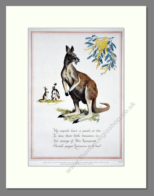 Guinness Kangaroo 1952 Large Original Advert (ref AD303858)