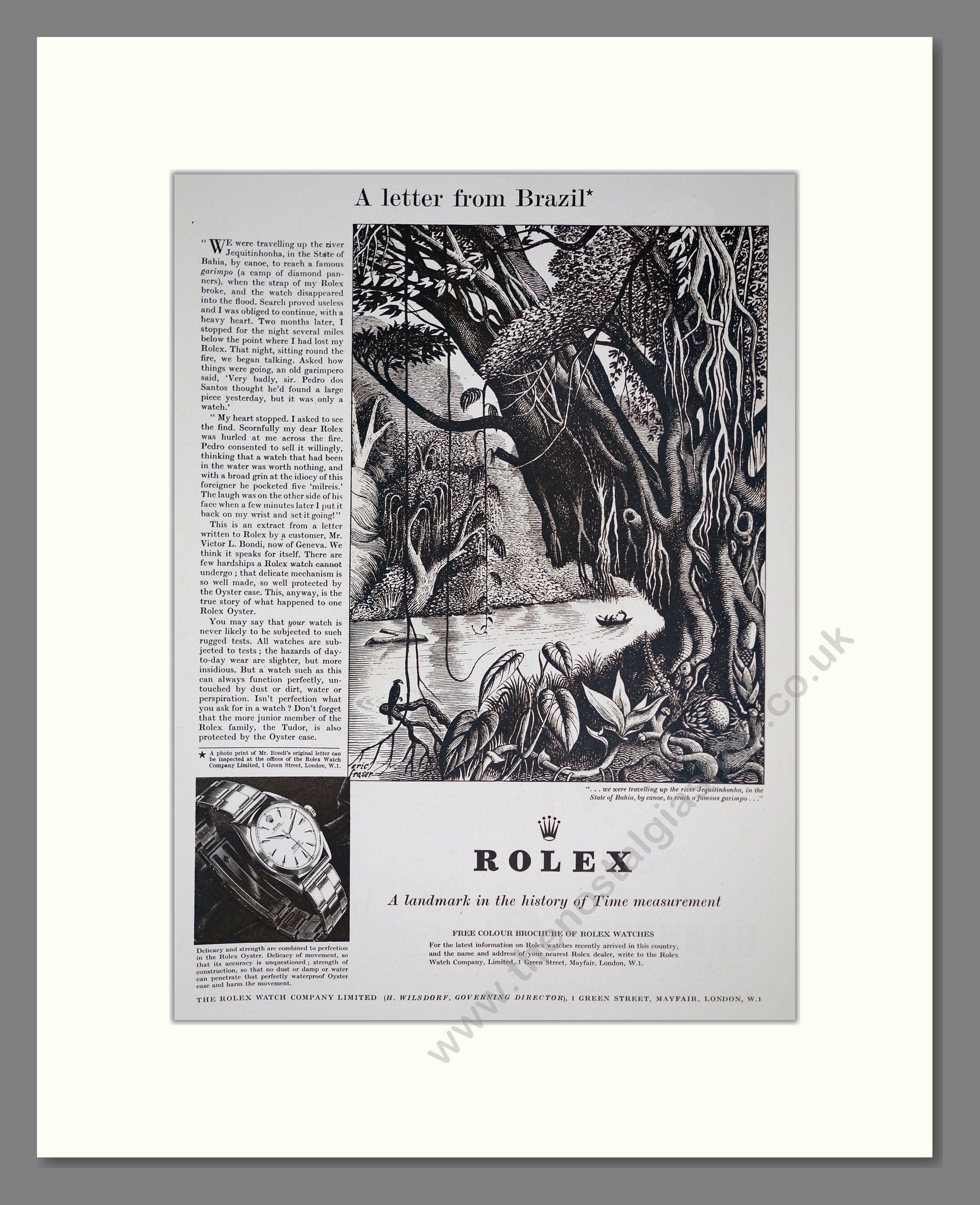 Rolex - Oyster. Vintage Advert 1952 (ref AD303565)