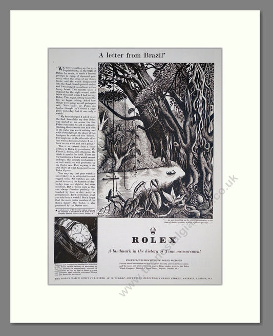 Rolex - Oyster. Vintage Advert 1952 (ref AD303565)