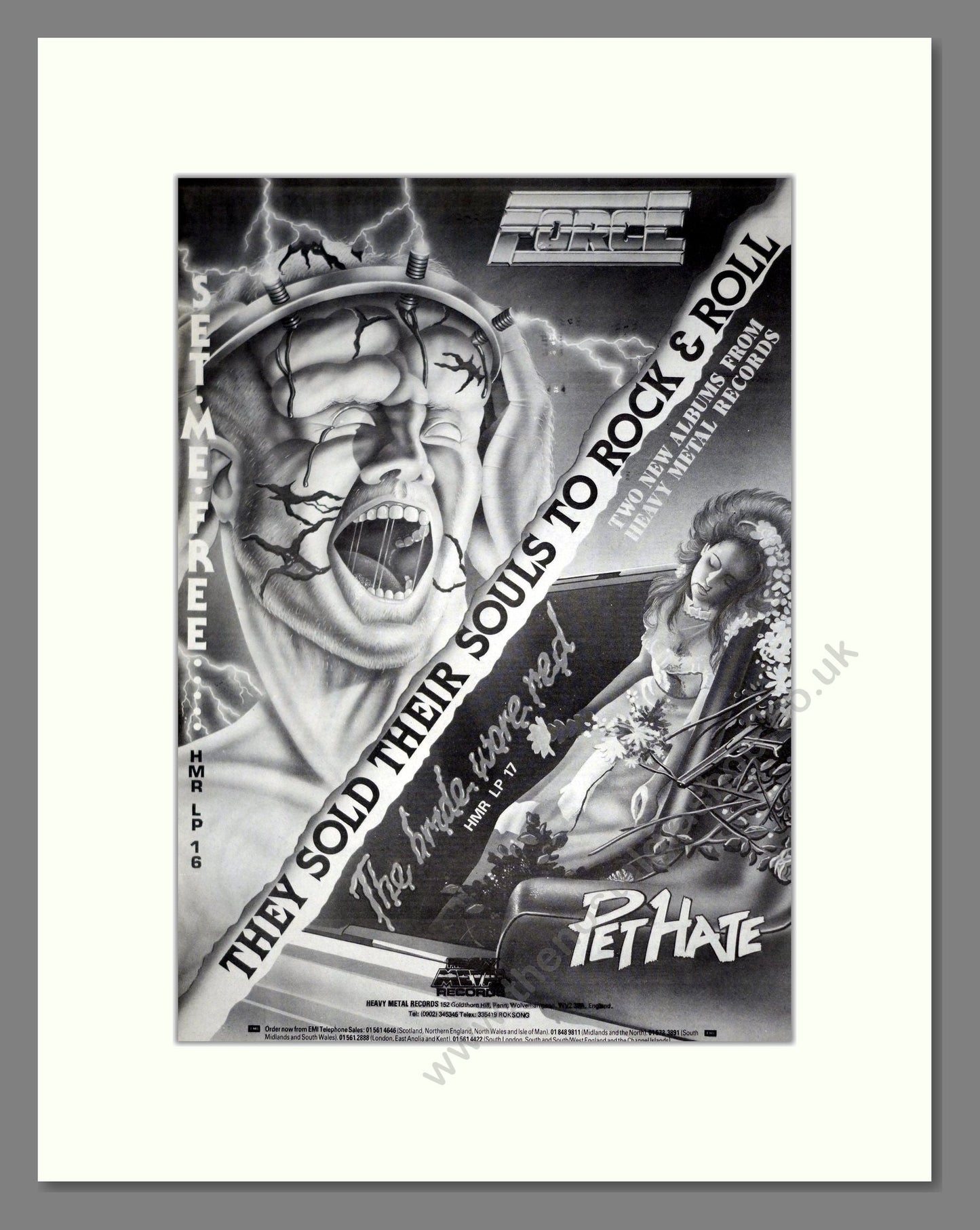 Pet Hate / Force - 2 Albums. Vintage Advert 1984 (ref AD20831)