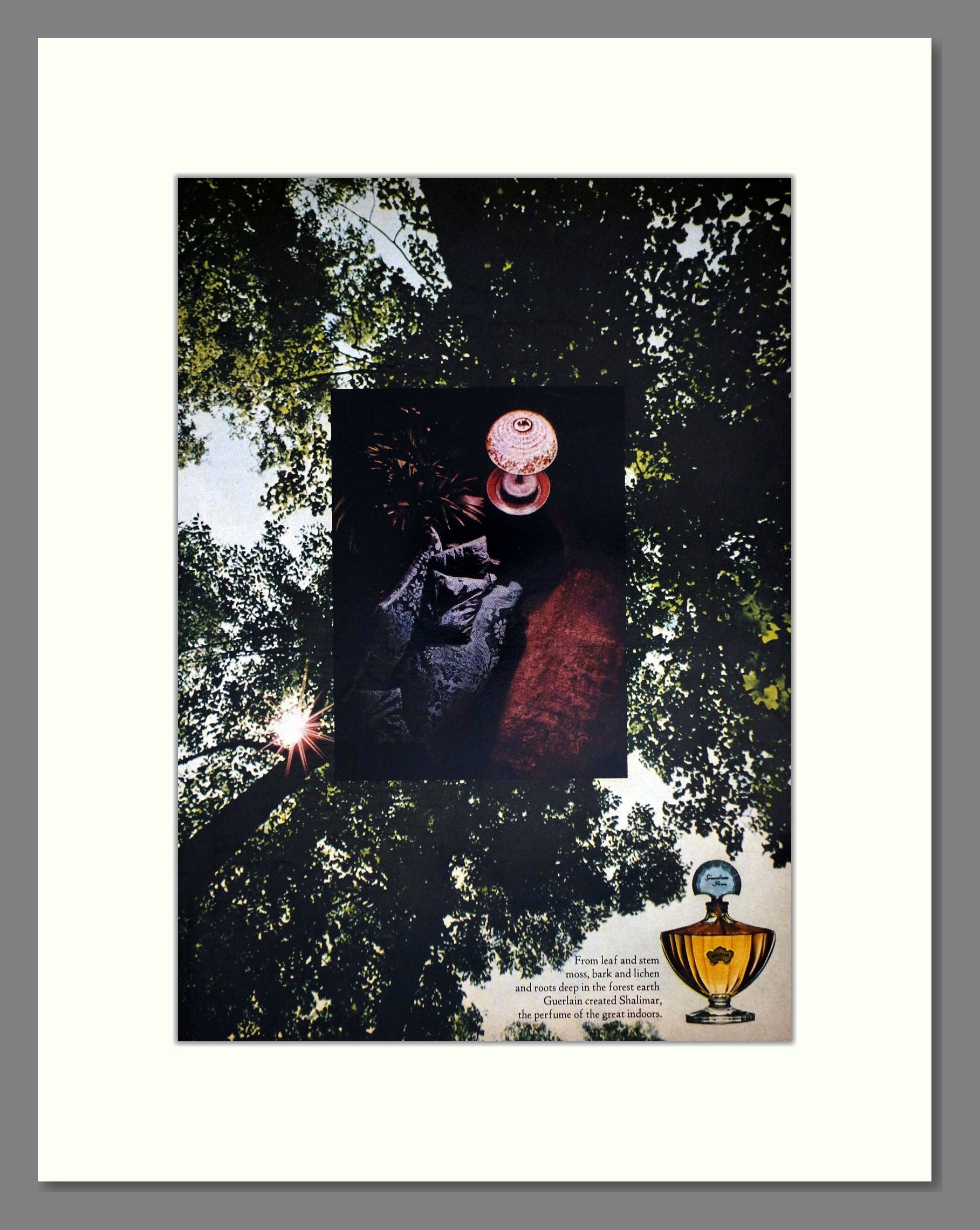 Guerlain - Shalimar. Vintage Advert 1965 (ref AD65540)