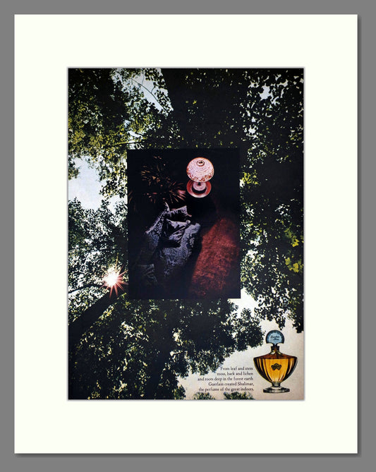 Guerlain - Shalimar. Vintage Advert 1965 (ref AD65540)