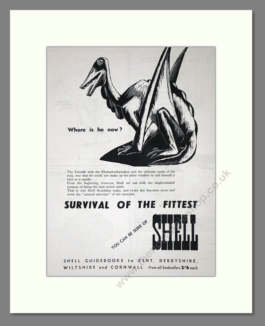 Shell - Survival Of The Fittest. Vintage Advert 1935 (ref AD65623)