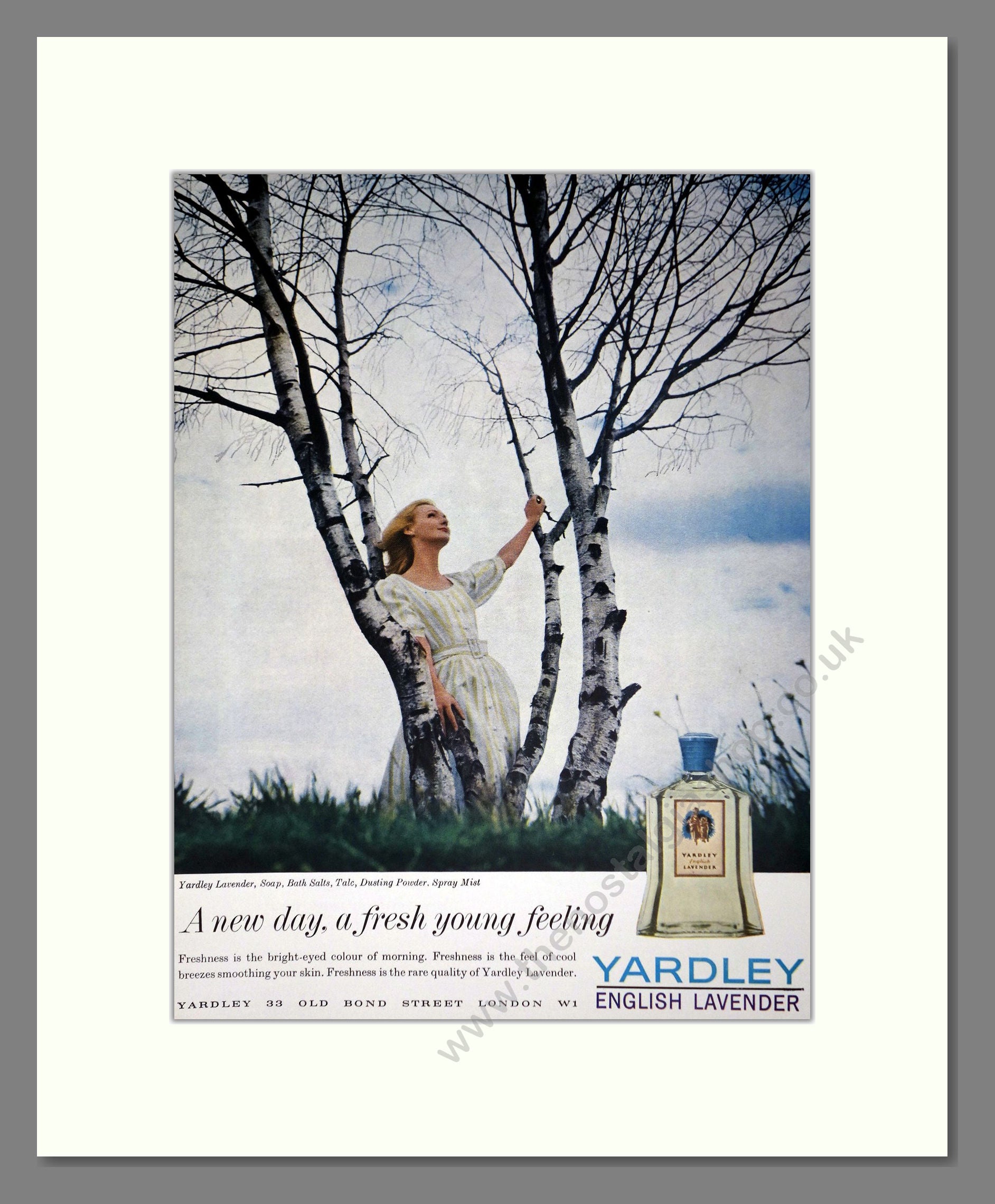 Yardley - Lavender. Vintage Advert 1961 (ref AD66213)
