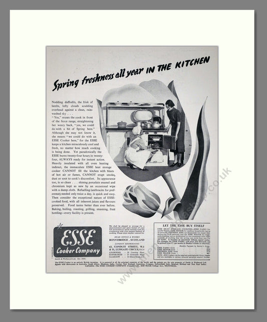Esse - Premier Heat Storage Cooker. Vintage Advert 1939 (ref AD66565)