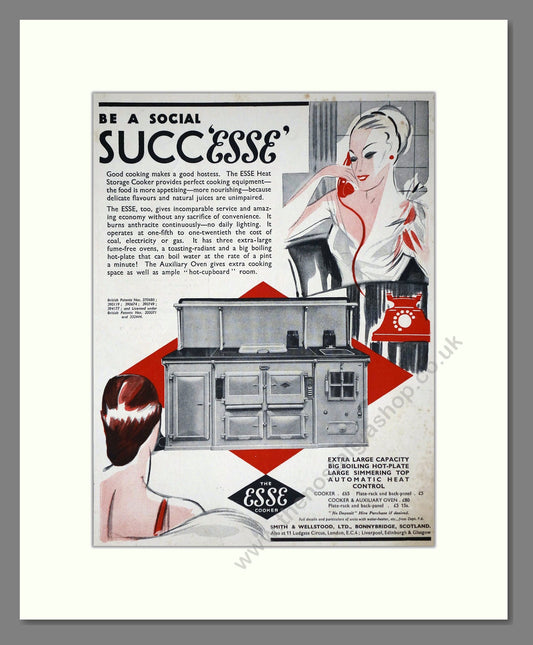 Esse - Heat Storage Cooker. Vintage Advert 1935 (ref AD66576)