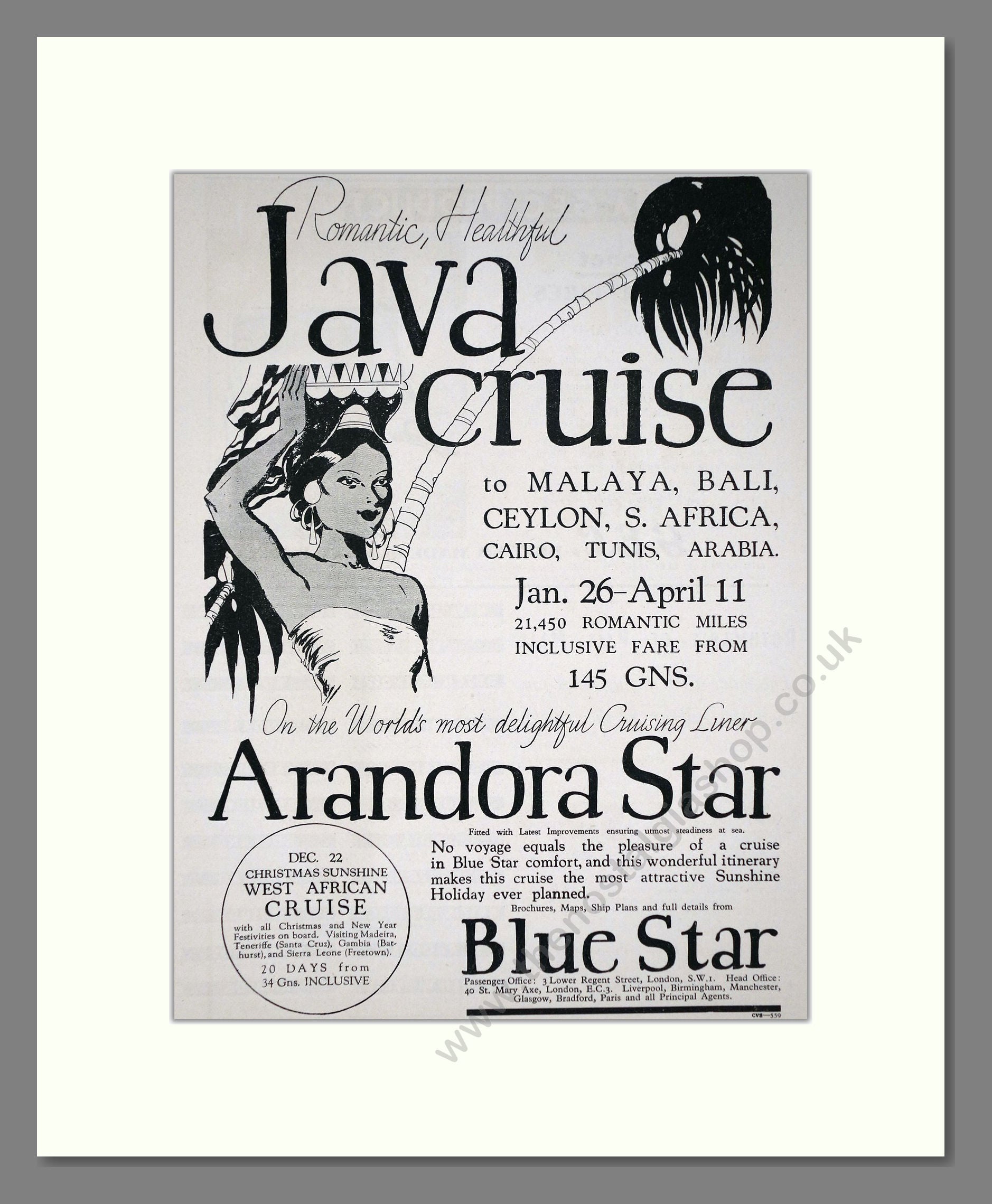 Blue Star Line - Arandora Star Ship. Vintage Advert 1934 (ref AD66661)