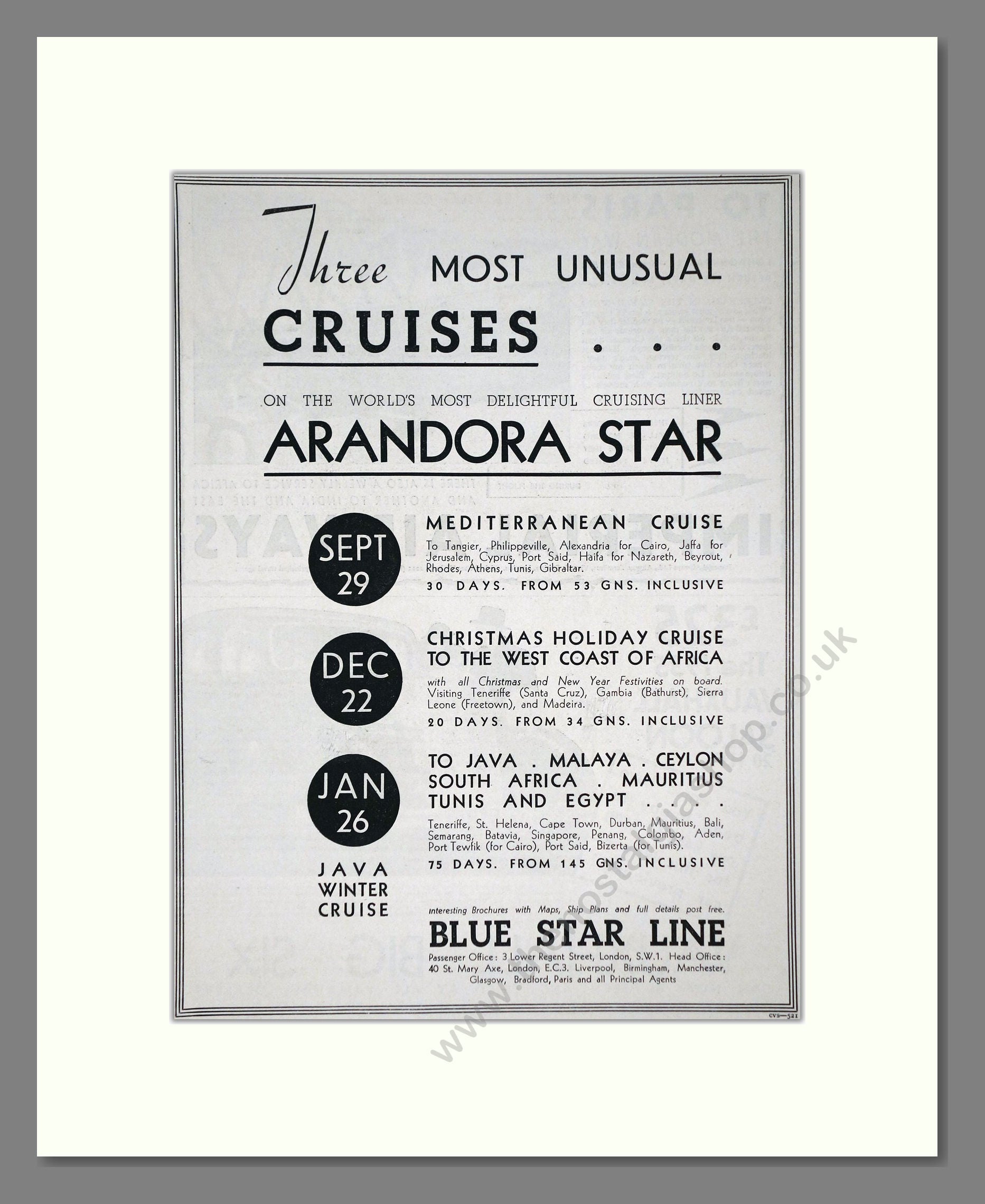 Blue Star Line - Arandora Star Ship. Vintage Advert 1934 (ref AD66664)