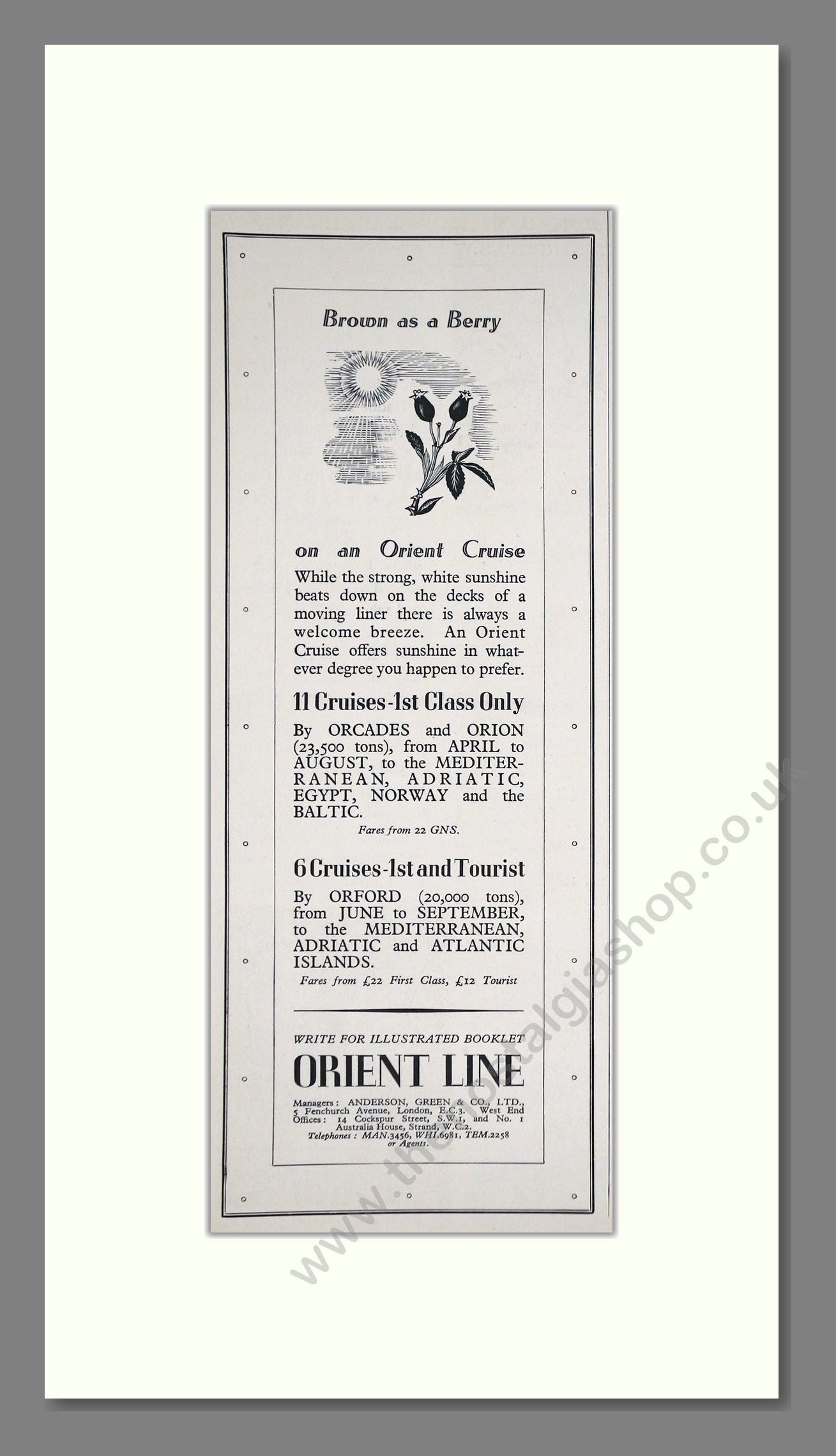 Orient Line - Brown As A Berry. Vintage Advert 1939 (ref AD66708)