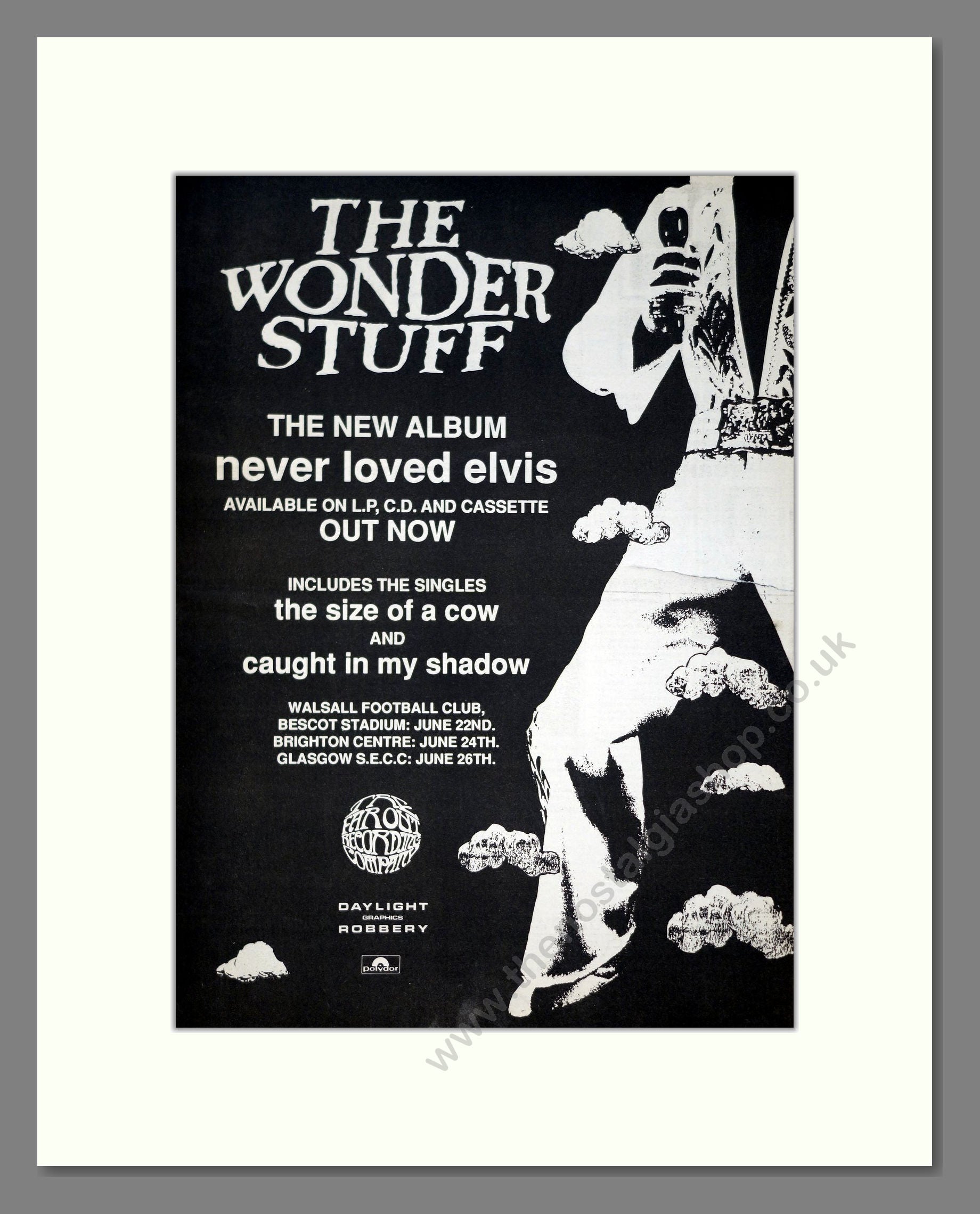 Wonder Stuff (The) - Never Loved Elvis. Vintage Advert 1991 (ref AD20909)