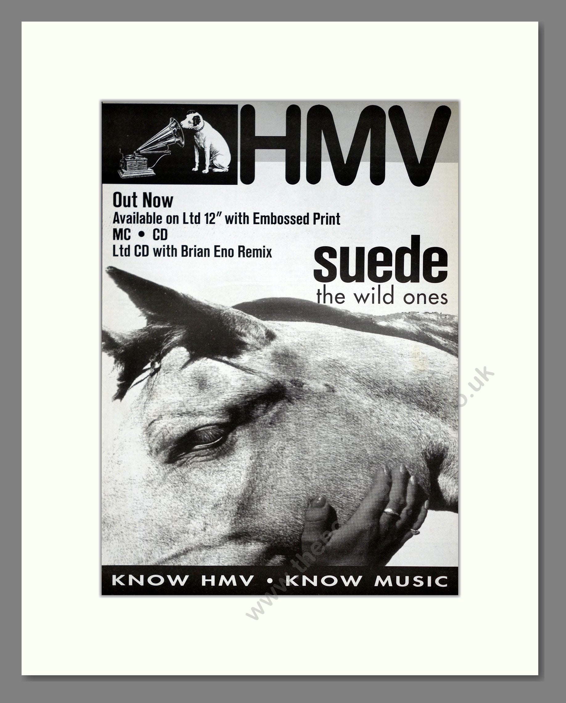 Suede - The Wild Ones. Vintage Advert 1994 (ref AD20947)